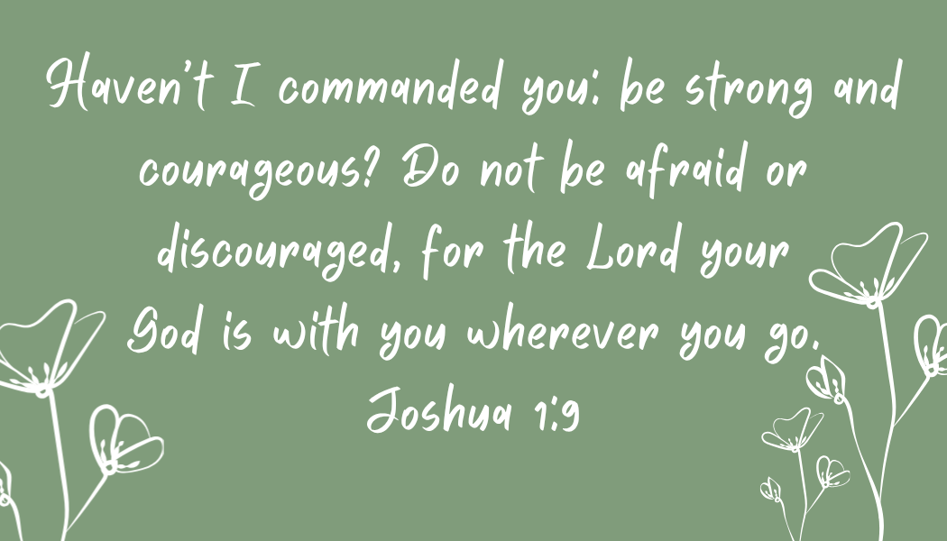 Scripture Cards-Set of 50 Assorted Sage Green